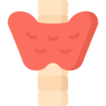 Thyroid Tests