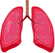Lungs Test